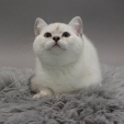 chantal_dea_feles5.JPG